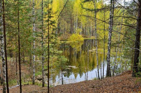 Lake in forest in autumn with fallen leaves floating on the calm surface of water, reflection of trees.の写真素材