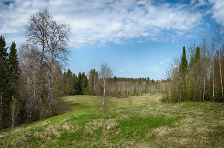 Image with room for copy space of hills, trees, green grass and blue sky with white fluffy cloudsの写真素材