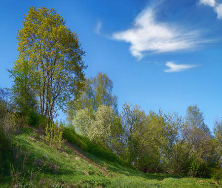Meandering foot path dirt track winding through Spring farmland, fields of grass, cherry blossom and dandelions. Taken in the hills  countryside.の写真素材
