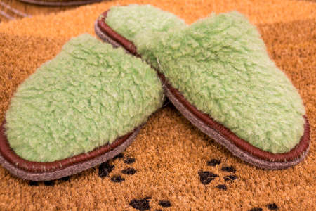 Green slippers on the carpet. Comfort. Home. Home appliances Subjectの写真素材