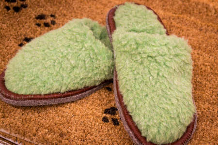 Green slippers on the carpet. Comfort. Home. Home appliances Subjectの写真素材