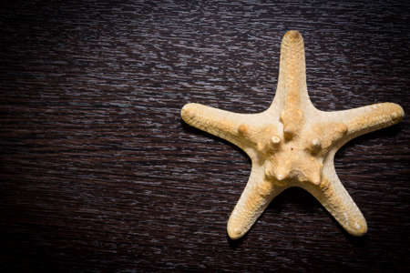 Starfish on a dark wooden table. Installation. Objects of the sea. Background postcard.の写真素材