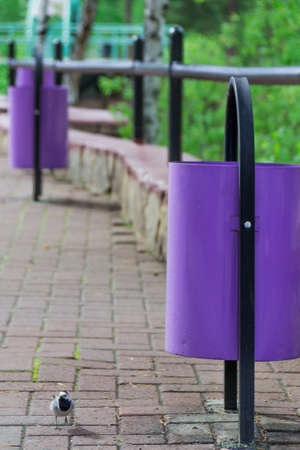 Violet, iron street urns on the background of a stone pavement. Ecology and cleanliness. Design.の写真素材