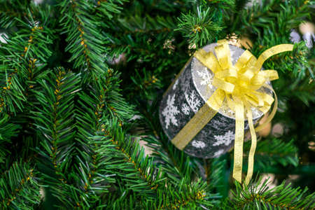 Christmas gift box with a bow on the Christmas fir. Good New Year spirit.の写真素材