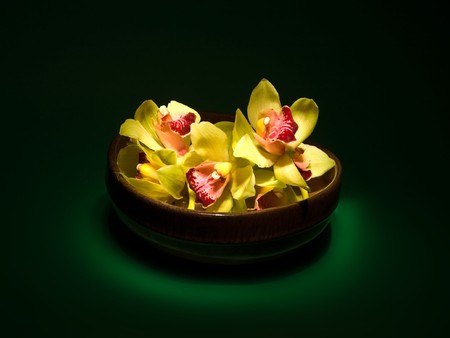 orchids in a vaseの写真素材