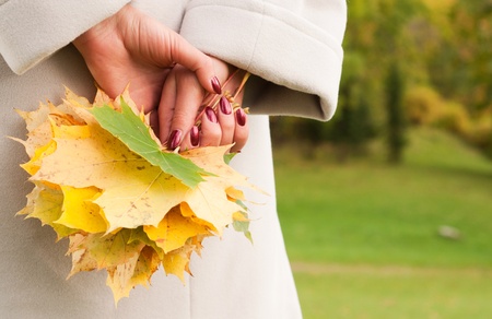 Woman hands holding autumn tree leaves in forest の写真素材