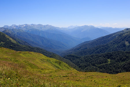 alpine meadows and forest in mountain valley landscape in Georgia