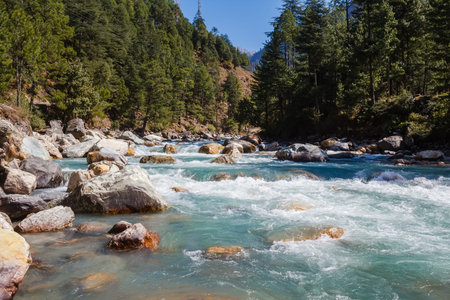 river in himalayan mountains floating behind stones and evergreen forest
