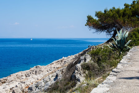 yacht and the tree on the rock on the island in mediterranean seaの写真素材