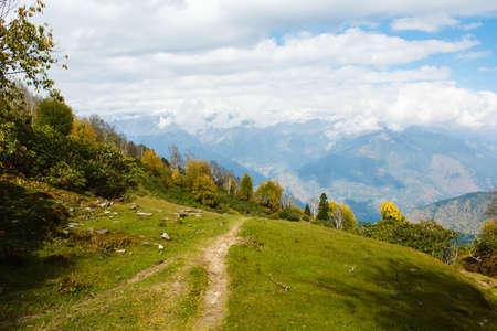 forest sandy road in autumn in himalayan mountainsの写真素材