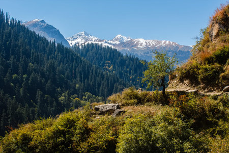 valley in himalayan mountains coverd with forest in sunshine