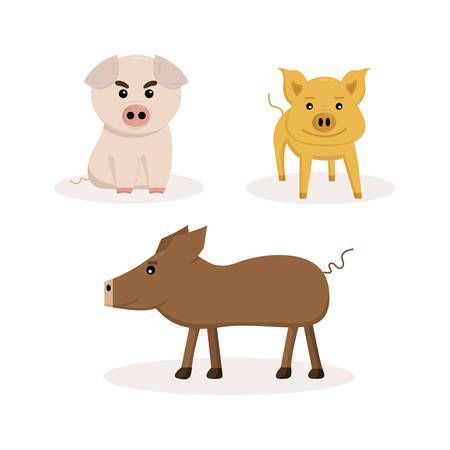 set of three pigs on white backgroundのイラスト素材