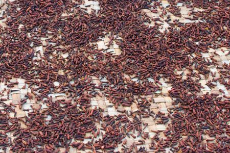 Cloves drying on a matの写真素材