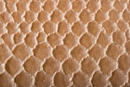 Crocodile skin texture close up