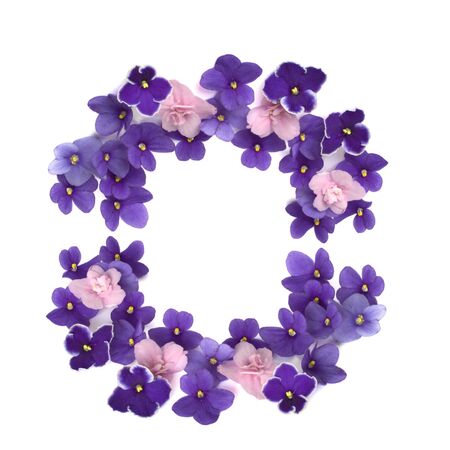 Frame made of violet petals isolated on whiteの写真素材