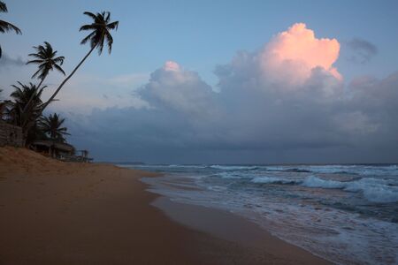 Sunset on tropical beach. Sri Lankaの写真素材