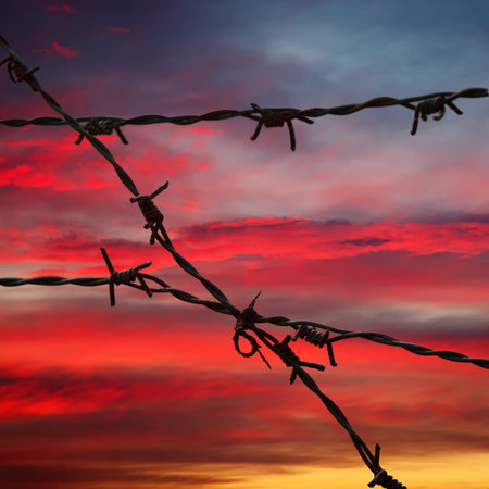 Steel barbed wire on blurred backgroundの写真素材