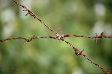 Steel barbed wire on blurred backgroundの写真素材