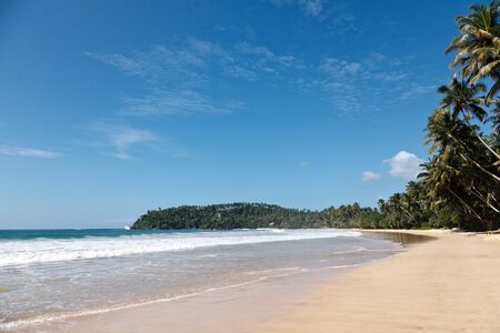 Tropical paradise idyllic beach. Sri Lankaの写真素材