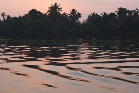 Sunrise on Kerala Backwaters. Kerala, Indiaの写真素材