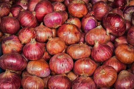 Onions backgroundの写真素材