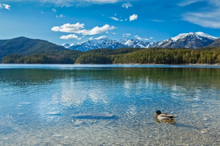 Eibsee lake. Bavaria, Germanyの写真素材