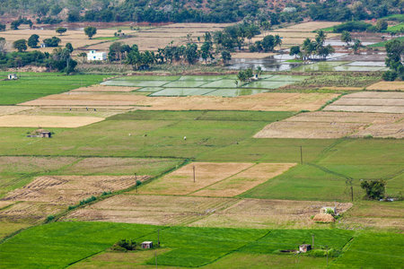 Aeiral view of Indian countryside with rice paddies. Near Thirukalukundram, Tamil Nadu, India