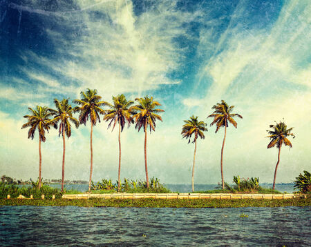 Vintage retro hipster style travel image of palms at Kerala backwaters with grunge texture overlaid. Kerala, Indiaの写真素材