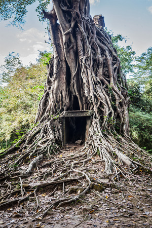 Sambor Prei Kuk temple ruins, Cambodiaの写真素材