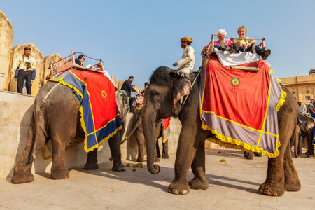 JAIPUR, INDIA - NOVEMBER, 18: Tourists riding elephants in Amber fort, Rajasthan, Elephant ride is a popular entertainment for tourists in Indiaのeditorial素材