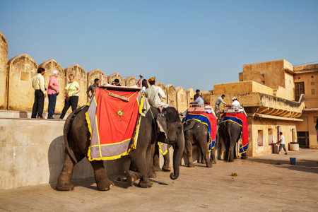 JAIPUR, INDIA - NOVEMBER, 18: Tourists riding elephants in Amber fort, Rajasthan, Elephant ride is a popular entertainment for tourists in Indiaのeditorial素材