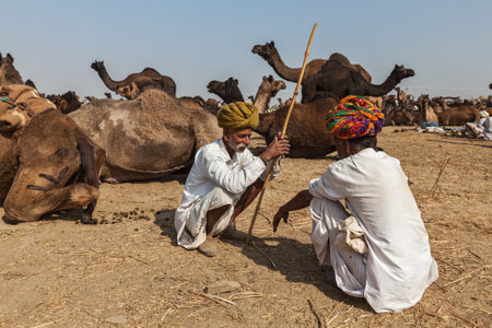 PUSHKAR, INDIA - NOVEMBER 20, 2012: Indian men and camels at Pushkar camel fair (Pushkar Mela) -  annual five-day camel and livestock fair, one of the world's largest camel fairs and tourist attractionのeditorial素材