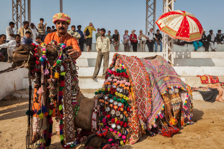 PUSHKAR, INDIA - NOVEMBER 22, 2012: Man decorating his camel for camel decoration contest at Pushkar camel fair (Pushkar Mela) -  annual five-day camel and livestock fair, one of the world's largest camel fairs and tourist attractionのeditorial素材