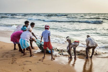 CHENNAI, INDIA - FEBRUARY 10, 2013: Indian fishermen dragging fishing net with their catch from sea on Marina Beach, Chennai, Tamil Naduのeditorial素材