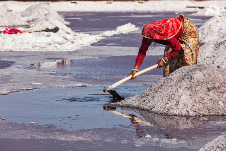 SAMBHAR, INDIA - NOVEMBER 19, 2012: Women mining salt at lake Sambhar, Rajasthan, India. Sambhar Salt Lake is India's largest inland salt lakeのeditorial素材