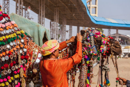 PUSHKAR, INDIA - NOVEMBER 22, 2012: Man decorating his camel for camel decoration contest at Pushkar camel fair (Pushkar Mela) -  annual five-day camel and livestock fair, one of the world's largest camel fairs and tourist attractionのeditorial素材