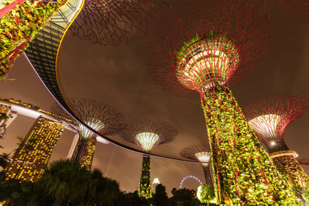 SINGAPORE - DECEMBER 31, 2013: Night view of Supertree Grove at Gardens by the Bay. Futuristic park spans 101 hectares is to become Singapore premier urban outdoor recreation space and national iconのeditorial素材