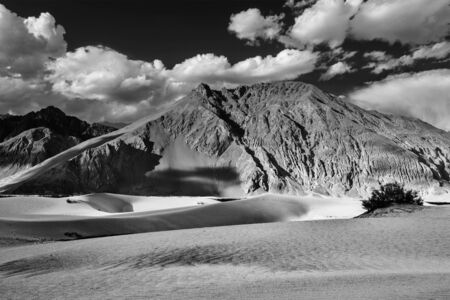 Sand dunes. Nubra valley, Ladakh, Indiaの写真素材