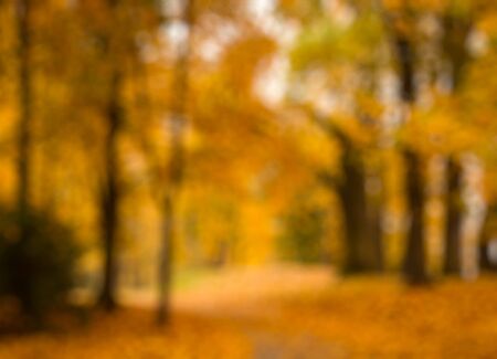 Defocused blurred autum backgroundの写真素材