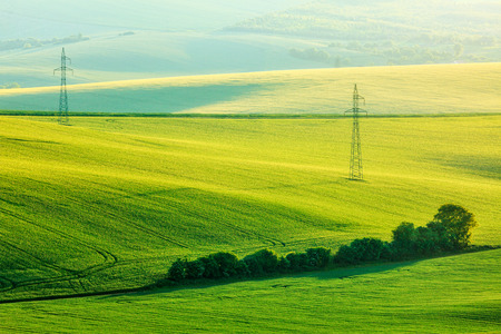 Moravian summer rolling landcsapeの写真素材