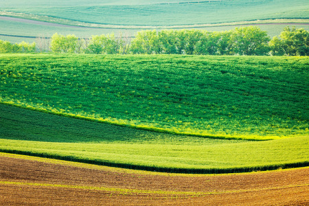 Moravian rolling landscapeの写真素材