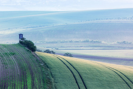 Rural Europe background - Moravian rolling landscape with hunting tower shack in early morning on sunrise. Moravia, Czech Republicの写真素材