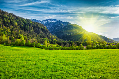 Alpine meadow in Bavarian Alps. Bavaria, Germanyの写真素材