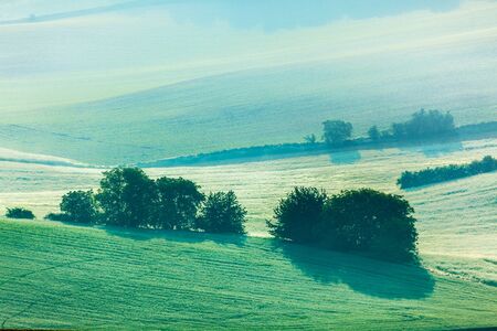 Moravian rolling fields landscape in morning mist. Moravia, Czech Republicの写真素材