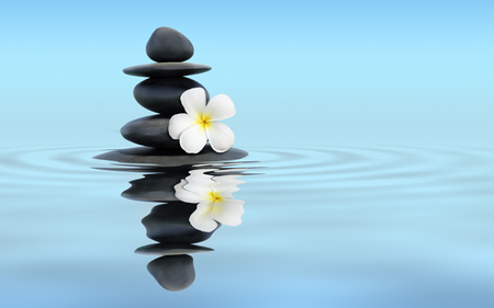 Zen spa concept panoramic banner image - Zen massage stones with frangipani plumeria flower in water reflection Zen spa concept panoramic banner image - Zen massage stones with frangipani plumeria flower in water reflection