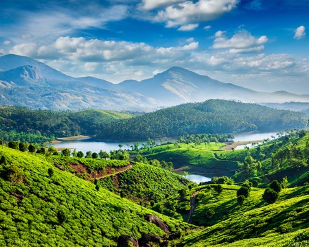 Tea plantations and Muthirappuzhayar River in hills near Munnar, Kerala, Indiaの写真素材