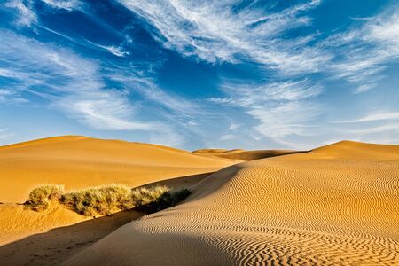 Sam Sand dunes in Thar Desert. Rajasthan, Indiaの写真素材
