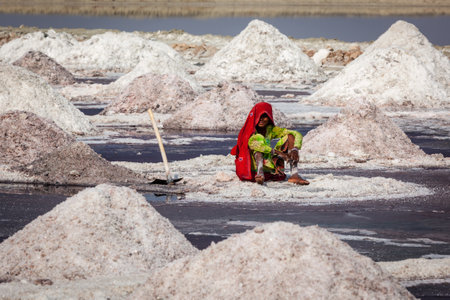 SAMBHAR, INDIA - NOVEMBER 19, 2012: Woman mining salt at lake Sambhar, Rajasthan, India. Sambhar Salt Lake is India's largest inland salt lakeのeditorial素材