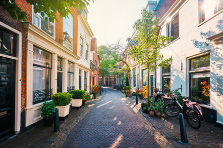 Street with old houses in Haarlem, Netherlandsのeditorial素材