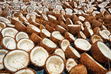 Drying coconuts, Kerala, South Indiaの写真素材